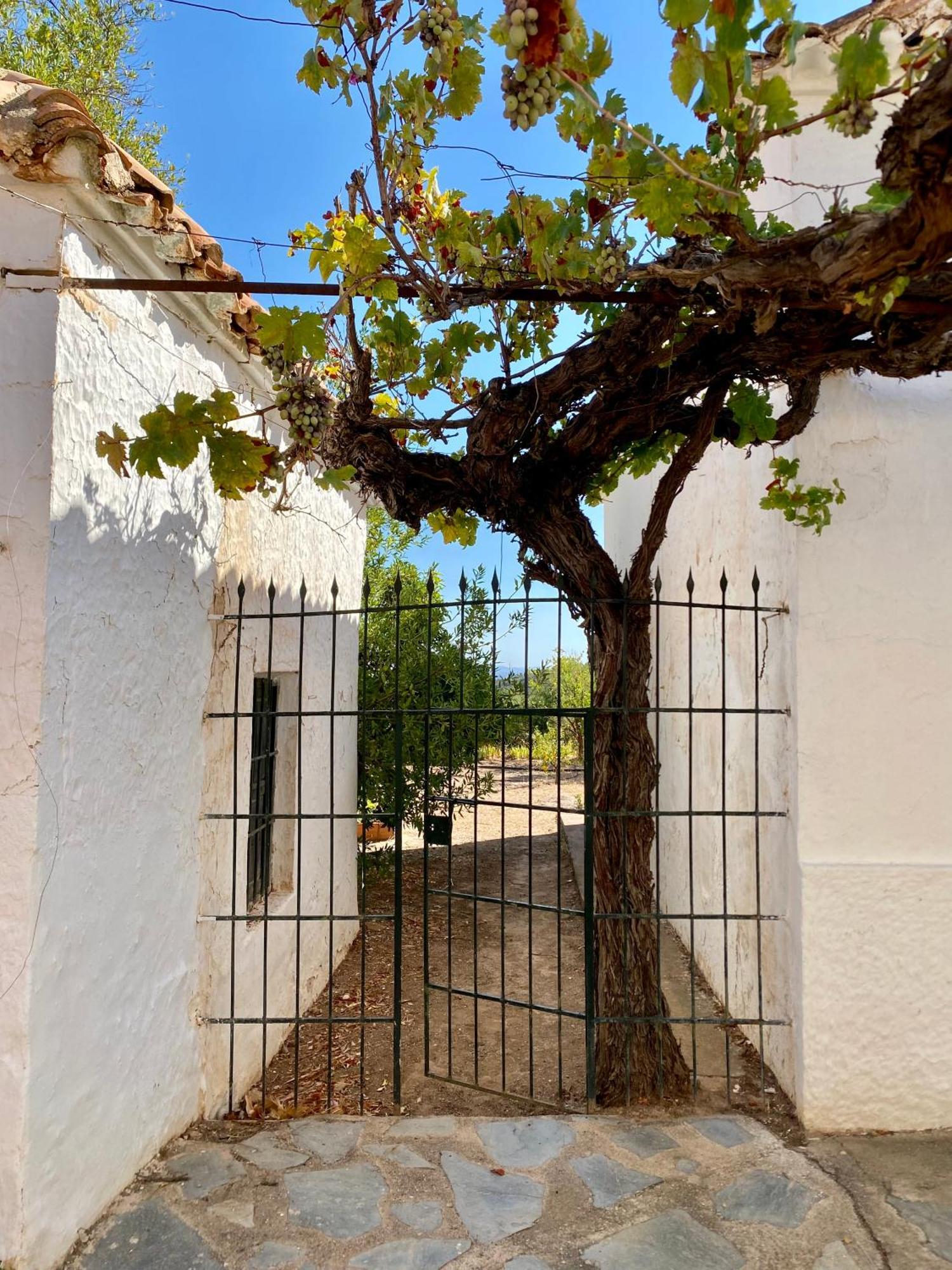 Real Fundicion De Alcora Villa Canjáyar Екстериор снимка